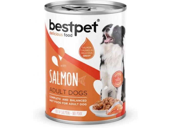 Bestpet Delicious Food – With Salmon for Adult Dogs - Image 1