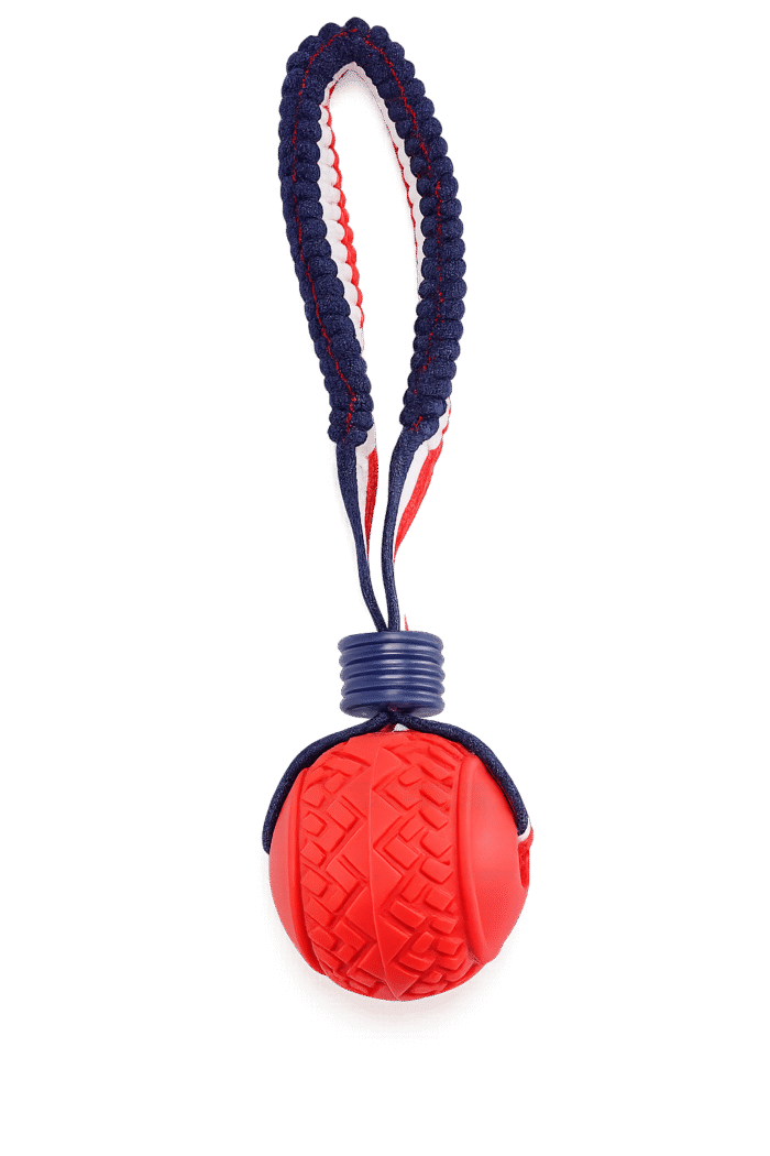 Red Ball with Rope Handle - Image 1