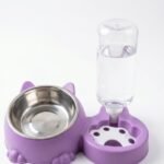plate and water dispenser